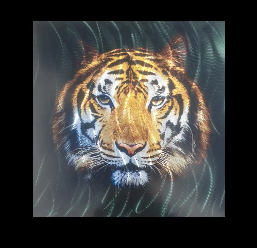 Metal Photo Colour Panel's (Sample Only)