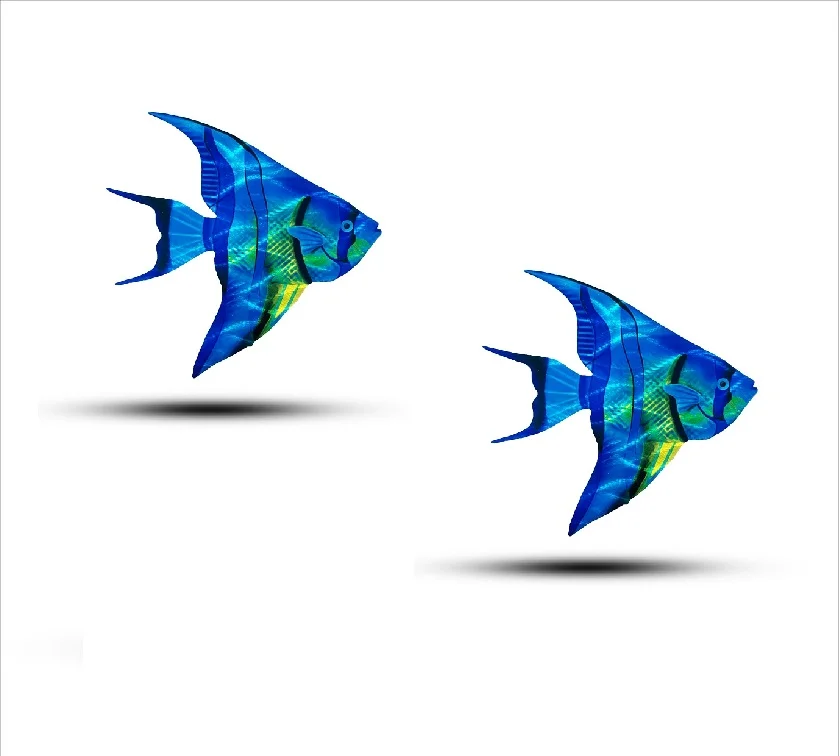 Angel Fish X2 - Image 2