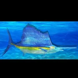Sailfish - Oceana