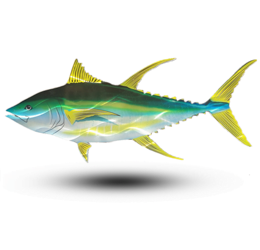 Metal Yellow Fin tuna 2