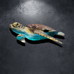 Turtle Design 2