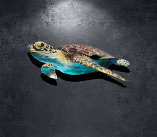 Turtle Design 2