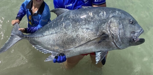 GT Trevally - Image 3