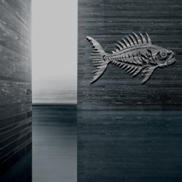 Cobia Skelton Fish 2