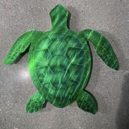 Turtle Design GREEN Turtle Design GREEN