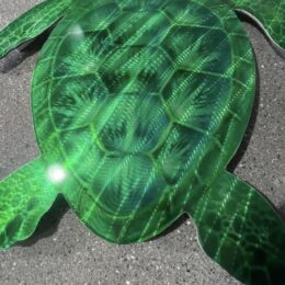 Turtle Design GREEN